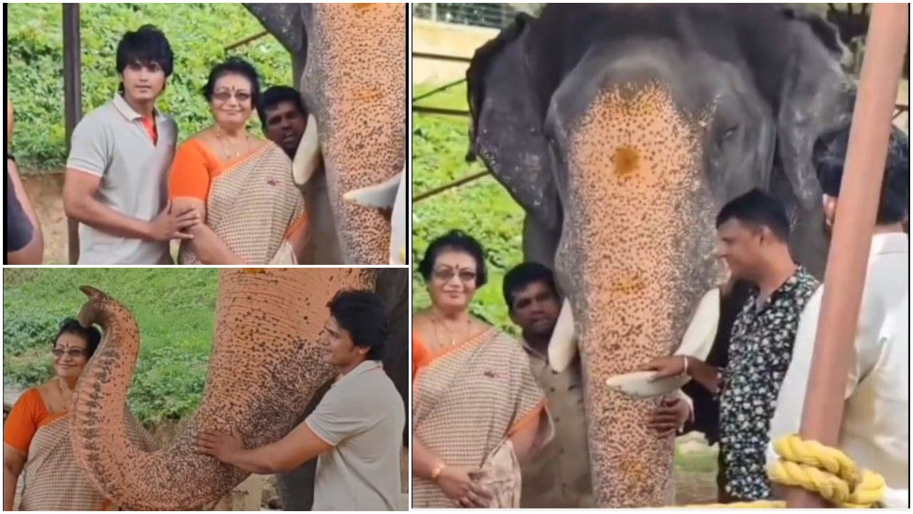 ದಸರಾ ಆನೆಗಳ ಜೊತೆ ಫೋಟೋ ತೆಗೆಸಿಕೊಂಡ ದರ್ಶನ್ ತಾಯಿ ಮೀನಾ ತೂಗುದೀಪ