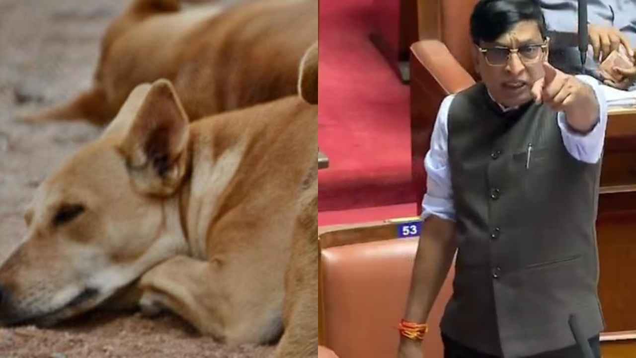 2800 ನಾಯಿಗಳನ್ನ ವಿಷ ಹಾಕಿ ಸಾಯಿಸಿದ್ದೆ: ತಮ್ಮ ಅಧಿಕಾರಾವಧಿ ಉದಾಹರಣೆ ಕೊಟ್ಟ ಭೋಜೇಗೌಡ