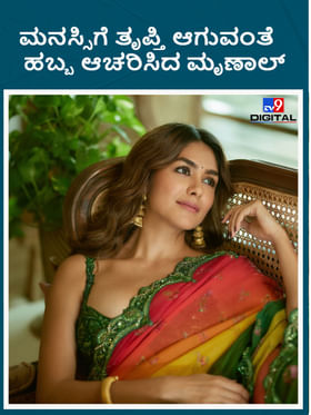 ಮನಸ್ಸಿಗೆ ತೃಪ್ತಿ ಆಗುವಂತೆ ಗಣೇಶ ಹಬ್ಬ ಆಚರಿಸಿದ ಮೃಣಾಲ್