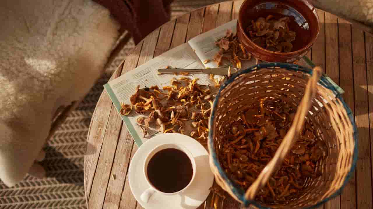 ಮಶ್ರೂಮ್ ಕಾಫಿಯ ಆರೋಗ್ಯ ಪ್ರಯೋಜನಗಳ ಬಗ್ಗೆ ಗೊತ್ತಾದ್ರೆ ನೀವು ಇದನ್ನು ಮಿಸ್ ಮಾಡ್ದೆ ಕುಡಿತೀರಾ ನೋಡಿ