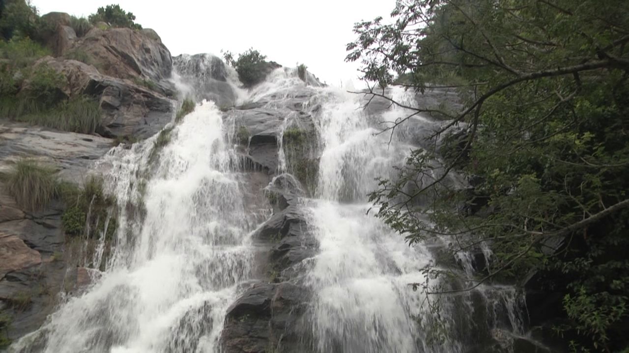 ಬೆಂಗಳೂರು ಹೊರವಲಯ ಆನೇಕಲ್ ಪಟ್ಟಣದಿಂದ 8 ಕಿಮೀ ಸಾಗಿದರೆ ಬನ್ನೇರುಘಟ್ಟ ರಾಷ್ಟ್ರೀಯ ಉದ್ಯಾನವನದ ದಟ್ಟ ಕಾಡು ಎದುರಾಗುತ್ತದೆ. ಅಲ್ಲಿಂದ ಕಾಡಿನಲ್ಲಿ ಒಂದು ಫರ್ಲಾಂಗ್ ದೂರ ಕಣಿವೆಯಲ್ಲಿ ಸಾಗಿದರೆ ಮುತ್ಯಾಲಮಡು ಶಂಖನಾದ ಜಲಪಾತ ಕಣ್ಣಿಗೆ ಬೀಳುತ್ತದೆ. ಬಂಡೆಕಲ್ಲುಗಳ ಸೀಳಿ 500 ಅಡಿ ಎತ್ತರದ ಮೇಲಿಂದ ಹಾಲಿನಂತೆ ಧುಮ್ಮುಕ್ಕುವ ಜಲಪಾತವನ್ನು ನೋಡುವುದೇ ಅಂದ.