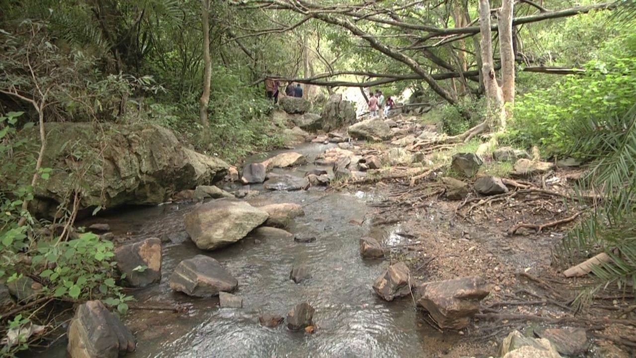 ಅದು ದಟ್ಟ ಕಾನನದ ಗಿಡಮರ ಬೆಟ್ಟ ಗುಡ್ಡಗಳ ವನಸಿರಿ ನಡುವೆ ಧುಮ್ಮುಕ್ಕುವ ಅಪರೂಪದ ಜಲಧಾರೆ. ಬಂಡೆಕಲ್ಲುಗಳನ್ನು ಸೀಳಿ ಕಣಿವೆಯಲ್ಲಿ ಹಾಲಿನಂತೆ ಮುತ್ಯಾಲಮಡು ಜಲಾಪಾತ ಧುಮ್ಮಿಕ್ಕುತ್ತಿದೆ. ಮುತ್ಯಾಲಮಡು ಜಲಾಪಾತ ಮಳೆಗಾಲದಲ್ಲಿ ಮಾತ್ರ ಭೋರ್ಗರೆಯುತ್ತದೆ.