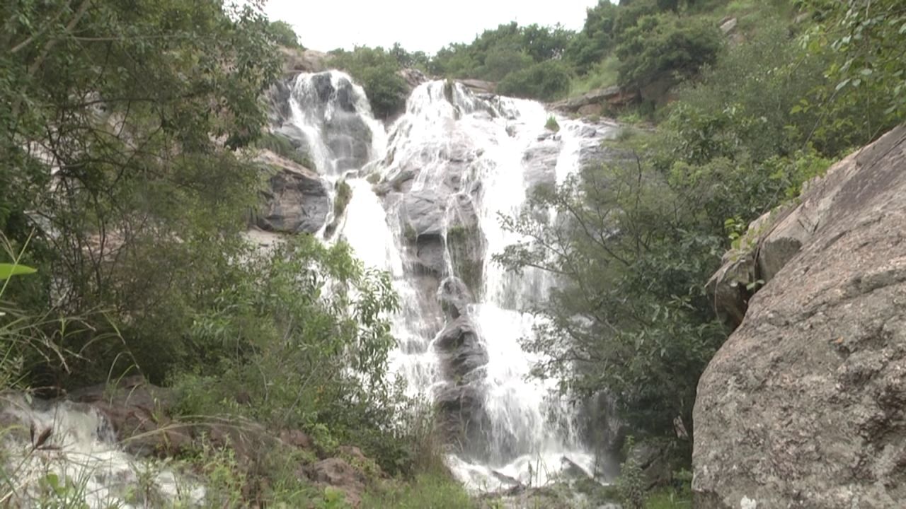 ಮುತ್ಯಾಲಮಡು ಜಲಪಾತ ಬನ್ನೇರುಘಟ್ಟ ರಾಷ್ಟ್ರೀಯ ಉದ್ಯಾನವನ ಅರಣ್ಯದಲ್ಲಿದ್ದರೂ ಬೇಸಿಗೆ ಬಂತೆಂದರೆ ಸಣ್ಣ ಝರಿಯಂತೆ ಹರಿಯುತ್ತದೆ. ಪ್ರವಾಸಿಗರ ಸಂಖ್ಯೆಯು ಇಳಿಮುಖವಾಗುತ್ತದೆ. ಎಲೆ ಉದುರಿದ ಪರಿಣಾಮ ಕಾಡಿನ ಮರಗಳು ಕೂಡ ಬೋಳು ಬೋಳಾಗಿ ಕಾಣುತ್ತವೆ. ಬೆಂಗಳೂರು ನಗರಕ್ಕೆ ಅಣತಿ ದೂರದಲ್ಲಿದ್ದರು ಮುತ್ಯಾಲಮಡು ಪ್ರವಾಸಿತಾಣ ಅಭಿವೃದ್ಧಿ ಹೊಂದಿಲ್ಲ.