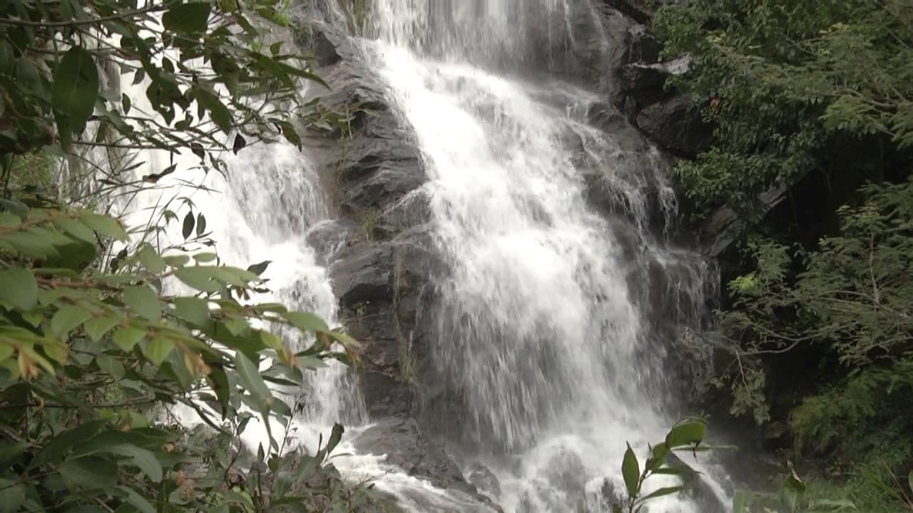 ಸುತ್ತಲೂ ಹಚ್ಚ ಹಸಿರಿನ ವನಸಿರಿ ನಡುವೆ ಭೋರ್ಗರೆಯುತ ಹರಿಯುವ ಮುತ್ಯಾಲಮಡು ಜಲಪಾತ ಪ್ರವಾಸಿಗರ ಕಣ್ಮನ ಸೆಳೆಯುತ್ತಿದೆ. ಬೆಂಗಳೂರು ಸಮೀಪದಲ್ಲಿಯೇ ಇಂತಹದೊಂದು ಪ್ರಕೃತಿ ರಮಣೀಯ ಪ್ರವಾಸಿ ತಾಣ ಇದ್ದು, ಹೆಚ್ಚಾಗಿ ಪ್ರೇಮಿಗಳು ಇಲ್ಲಿಗೆ ಬಂದು ಖುಷಿಪಡುತ್ತಾರೆ. ಕಟುಂಬ ಸಮೇತರಾಗಿ ಆಗಮಿಸಿ ಮುತ್ಯಾಲಮಡು ಜಲಪಾತದ ಐಸಿರಿಯನ್ನು ಕಣ್ತುಂಬಿಕೊಳ್ಳುತ್ತಾರೆ.