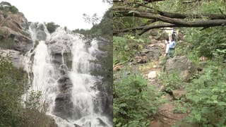 ಡಬಲ್ ಸ್ಟ್ರಿಂಗ್ ಬಿಕಿನಿ ಎಂದರೇನು? ಪಾಪ್ ತಾರೆ ದುವಾ ಲಿಪಾ ಹಾಕಿದ ಈ ಉಡುಗೆಯ ಬೆಲೆ ಎಷ್ಟು?