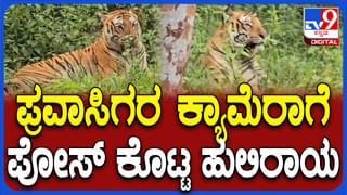 6,6,6,6,6,6… ಎಲ್ಲವೂ ಸ್ಟೇಡಿಯಂನಿಂದ ಆಚೆ; ಬೇಬಿ ಎಬಿ ಬಿರುಗಾಳಿ ಹೇಗಿತ್ತು? ವಿಡಿಯೋ ನೋಡಿ