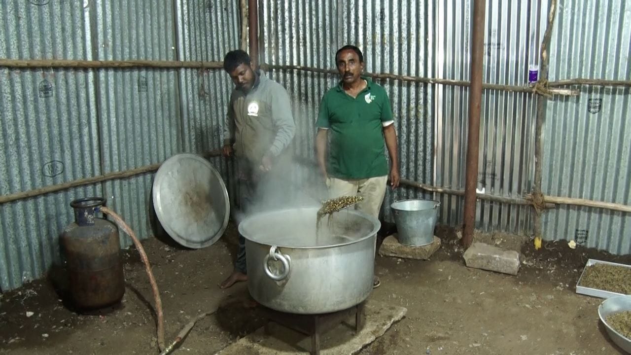 ಇಷ್ಟು ದಿನ ಕಾಡಿನಲ್ಲಿದ್ದ ದಸರಾ ಆನೆಗಳಿಗೆ ನಾಡಿನ ಜೊತೆ ಹೊಂದಾಣಿಕೆ ಮಾಡಿಸುವುದರಲ್ಲಿ ಮಾವುತರು ತೊಡಗಿದ್ದಾರೆ. ಜೊತೆಗೆ ಈ ಆನೆಗಳಿಗೆ ವಿಶೇಷ ಆಹಾರ ನೀಡಲಾಗುತ್ತಿದೆ. ಕಾಡಿನಲ್ಲಿ ಬಿದಿರು, ಸೊಪ್ಪು ಸೆದೆ ಮೇಯುತ್ತಿದ್ದ ಆನೆಗಳಿಗೆ ಹಬ್ಬದೂಟ ನೀಡಲಾಗುತ್ತಿದೆ. ಆನೆ ಶಿಬಿರಗಳಲ್ಲಿ ರಾಗಿ, ಹುರುಳಿ, ಭತ್ತ, ಭತ್ತದ ಹುಲ್ಲನ್ನು ಕೊಡಲಾಗುತಿತ್ತು. ಇದೀಗ ಈ ಆನೆಗಳಿಗೆ ವಿಶೇಷ ಆಹಾರ ನೀಡಲಾಗುತ್ತಿದೆ.