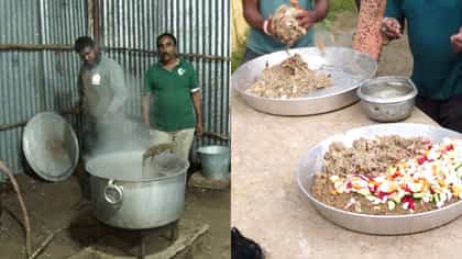 ಮೈಸೂರು ದಸರಾ ಸಿದ್ದತೆ: ಕಾಡಿನಿಂದ ನಾಡಿಗೆ ಬಂದಿರುವ ಗಜಪಡೆಗೆ ರಾಯಲ್ ಆತಿಥ್ಯ