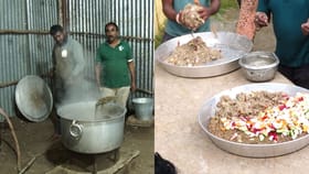 ಮೈಸೂರು ದಸರಾ ಸಿದ್ದತೆ: ಕಾಡಿನಿಂದ ನಾಡಿಗೆ ಬಂದಿರುವ ಗಜಪಡೆಗೆ ರಾಯಲ್ ಆತಿಥ್ಯ