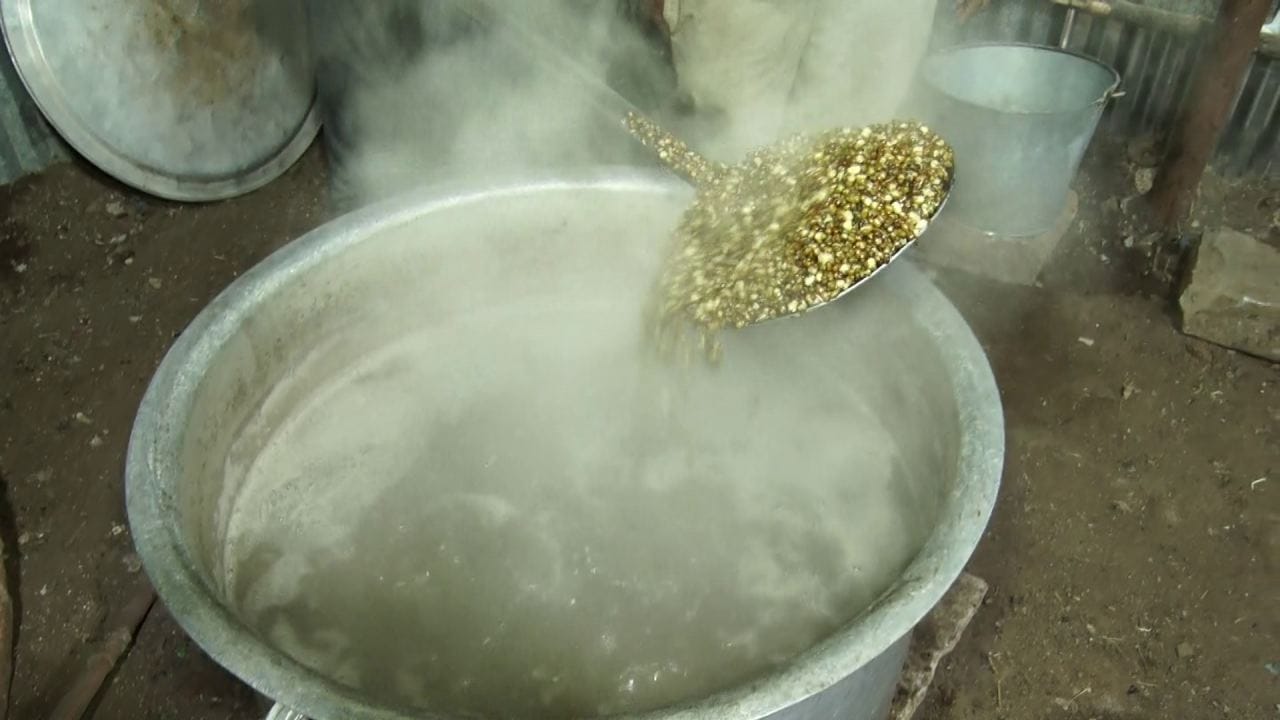 ಇದು ದಸರಾ ಗಜಪಡೆಗೆ ನೀಡುತ್ತಿರುವ ಅದ್ಧೂರಿ ಭೋಜನ. ಹಲವು ಬಗೆ ಕಾಳುಗಳನ್ನು ಬೇಯಿಸಿ, ಬೆಣ್ಣೆ, ತರಕಾರಿ ಜೊತೆಗೆ ಮುದ್ದೆ ಮಾಡಿ ಆನೆಗಳಿಗೆ ಕೊಡಲಾಗುತ್ತಿದೆ. ಇದರ ರುಚಿಗೆ ಆನೆಗಳು ಸಖತ್ ಖುಷಿಯಾಗಿವೆ. ಉದ್ದಿನ ಕಾಳು, ಹೆಸರು ಕಾಳು, ಗೋದಿ, ಕುಸುಬಲಕ್ಕಿಯನ್ನು ಸುಮಾರು ಮೂರರಿಂದ 4 ತಾಸು ಚೆನ್ನಾಗಿ ಬೇಯಿಸಲಾಗುತ್ತದೆ. ಇದನ್ನು ಉಂಡೆ ಮಾಡಿ ಪ್ರತಿದಿನ‌‌ ಬೆಳಿಗ್ಗೆ ಸಂಜೆ ನೀಡಲಾಗುತ್ತಿದೆ.