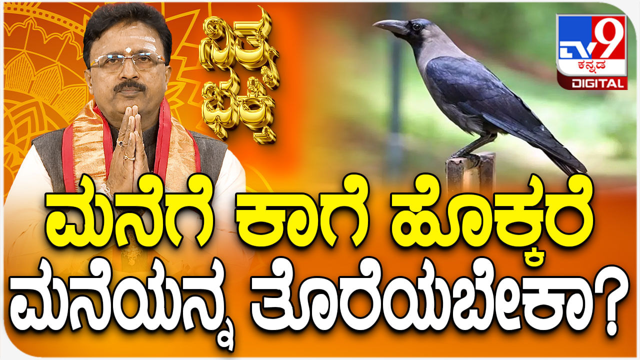 Daily Devotional: ಮನೆಗೆ ಕಾಗೆ ಹೊಕ್ಕರೆ ಮನೆಯನ್ನ ತೊರೆಯಬೇಕಾ?