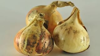 ಮಖಾನಾ Vs ಕಡಲೆ… ಇವೆರಡರಲ್ಲಿ ಯಾವುದು ಒಳ್ಳೆಯದು? ಈ ಸ್ಟೋರಿಯಲ್ಲಿದೆ ಮಾಹಿತಿ