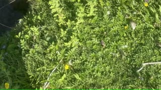 Video: ಟೈಮ್ ಆದ್ರೂ ಕೆಲಸ ವಹಿಸಿದ ಮ್ಯಾನೇಜರ್, ನೋ ಎಂದು ಆಫೀಸಿನಿಂದ ಹೊರನಡೆದ ಉದ್ಯೋಗಿ