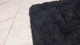 Video: ನಿಮ್ಮ ಅಪ್ಪ ಸೂಪರ್ ಮ್ಯಾನಾ ಎಂದು ಕೇಳಿದ ಶಿಕ್ಷಕರು, ಕೈ ಮೇಲೆತ್ತಿ ಅಪ್ಪನನ್ನು ಬಿಟ್ಟು ಕೊಡದ ಪುಟಾಣಿಗಳು