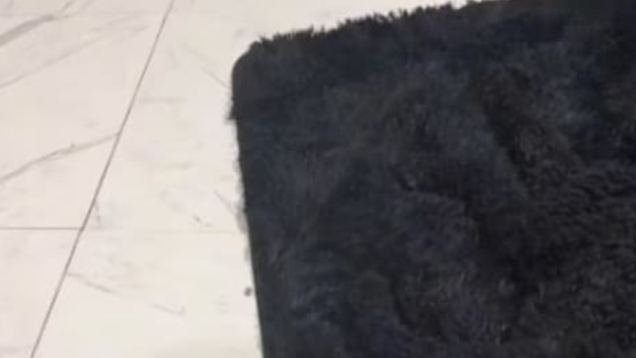 Optical Illusion: ನಿಮ್ಮ ಕಣ್ಣಿಗೊಂದು ಸವಾಲ್; ಈ ಚಿತ್ರದಲ್ಲಿ ಅಡಗಿರುವ ಶ್ವಾನವನ್ನು ಕಂಡುಹಿಡಿಯಬಲ್ಲಿರಾ?