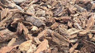 Viral: ಗರ್ಭಿಣಿ ಪತ್ನಿಗಾಗಿ ಕೋಟಿ ಕೋಟಿ  ಸಂಬಳದ ಕೆಲಸ ತ್ಯಜಿಸಿದ ವ್ಯಕ್ತಿ