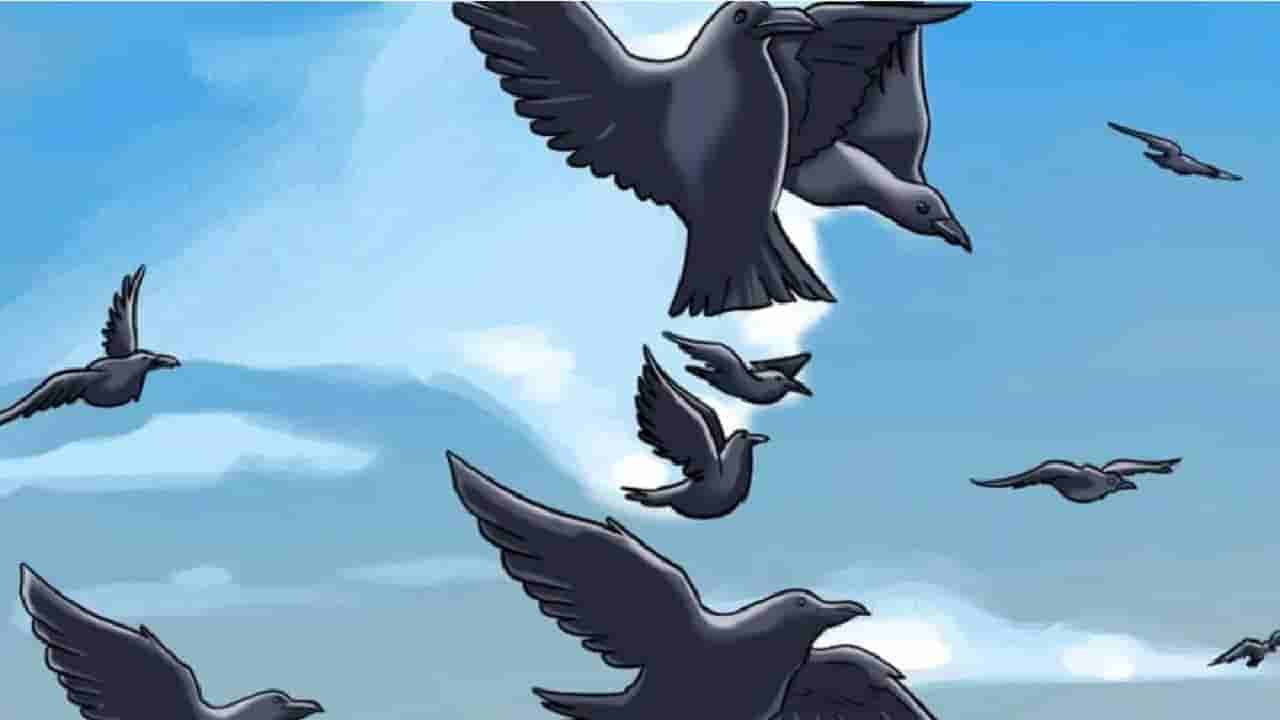 Optical Illusion: ಈ ಚಿತ್ರದಲ್ಲಿರುವ ಗುಪ್ತ ಮುಖವನ್ನು ನಿಮ್ಮಿಂದ ಹುಡುಕಲು ಸಾಧ್ಯವೇ?