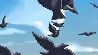 Viral: IIM -B ಸಂಸ್ಥೆಯ ಜಾಕೆಟ್​​ ಹಾಕಿಕೊಂಡು ಆಟೋ ಓಡಿಸಿದ ಚಾಲಕ, ಇದರ ಹಿಂದಿದೆ ಆತನ ಜೀವನದ ಗುಟ್ಟು