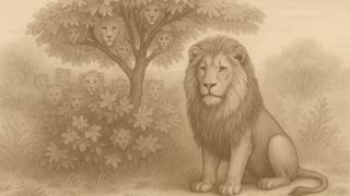 Viral: ಲಸಿಕೆಯಿಂದ ಮೂಡಿದ ಬ್ರೆಜಿಲ್​​​-ಭಾರತ ಪ್ರೀತಿ; ಜಾತಿ, ದೇಶಕ್ಕೂ ಮೀರಿದ ಲವ್​​ ಸ್ಟೊರಿ