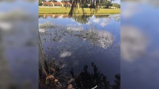 Viral: ಉಬರ್‌ನಲ್ಲಿ ಆಟೋ ಭಾರಿ ಕಾಸ್ಟ್ಲಿ, ಒಂದು ಕಿಮೀಗೆ 425 ರೂ ಆಟೋ ಚಾರ್ಜ್ ಎಂದ ಬೆಂಗಳೂರಿನ ವ್ಯಕ್ತಿ