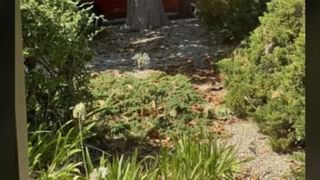 Video: ಕೇರಳದ ಗುರುವಾಯೂರು ದೇವಸ್ಥಾನದ ಕೊಳದಲ್ಲಿ ಪಾದ ತೊಳೆದು ವಿವಾದ ಸೃಷ್ಟಿಸಿಕೊಂಡ ಮಾಜಿ ಬಿಗ್ ಬಾಸ್ ಸ್ಪರ್ಧಿ