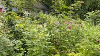 Video: ಅಪ್ಪನ ವರ್ಕ್ ಫ್ರಮ್ ಹೋಮ್ ಸ್ಥಿತಿಗತಿಯನ್ನು ಅನುಕರಣೆ ಮಾಡಿದ ಪುಟಾಣಿ