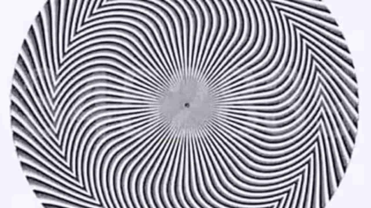 Optical Illusion: ಈ ಕಪ್ಪು ಬಿಳುಪಿನ ವೃತ್ತಾಕಾರದ ಚಿತ್ರದಲ್ಲಿ ಅಡಗಿರುವ ಸಂಖ್ಯೆ ಯಾವುದೆಂದು ಹೇಳಬಲ್ಲಿರಾ?