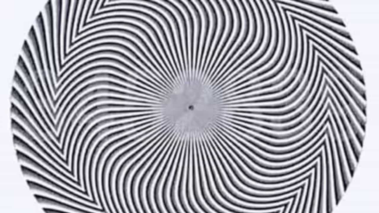 Optical Illusion: ಈ ಕಪ್ಪು ಬಿಳುಪಿನ ವೃತ್ತಾಕಾರದ ಚಿತ್ರದಲ್ಲಿ ಅಡಗಿರುವ ಸಂಖ್ಯೆ ಯಾವುದೆಂದು ಹೇಳಬಲ್ಲಿರಾ?