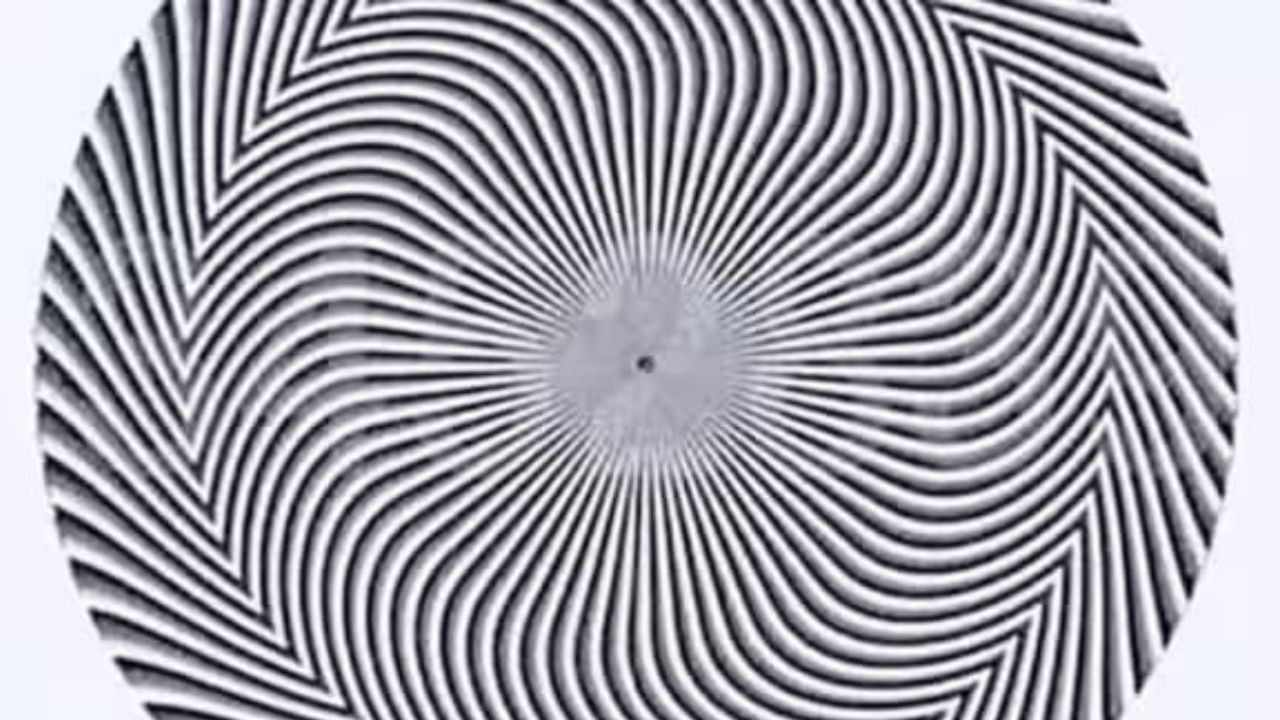 Optical Illusion: ಈ ಕಪ್ಪು ಬಿಳುಪಿನ ವೃತ್ತಾಕಾರದ ಚಿತ್ರದಲ್ಲಿ ಅಡಗಿರುವ ಸಂಖ್ಯೆ ಯಾವುದೆಂದು ಹೇಳಬಲ್ಲಿರಾ?