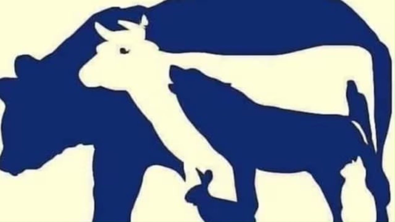 Optical Illusion: ಹದ್ದಿನ ಕಣ್ಣು ನಿಮ್ಮದಾಗಿದ್ರೆ ಈ ಚಿತ್ರದಲ್ಲಿ ಅಡಗಿರುವ ಒಂಬತ್ತು ಪ್ರಾಣಿಗಳನ್ನು ಹುಡುಕಿ ನೋಡೋಣ Optical Illusion: ಹದ್ದಿನ ಕಣ್ಣು ನಿಮ್ಮದಾಗಿದ್ರೆ ಈ ಚಿತ್ರದಲ್ಲಿ ಅಡಗಿರುವ ಒಂಬತ್ತು ಪ್ರಾಣಿಗಳನ್ನು ಹುಡುಕಿ ನೋಡೋಣ