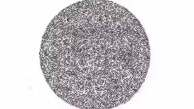 Optical Illusion: ಈ ಚಿತ್ರದಲ್ಲಿ ಅಡಗಿರುವ ಗುಪ್ತ ಪದ ಯಾವುದೆಂದು ನಿಮ್ಮಿಂದ ಕಂಡು ಹಿಡಿಯಲು ಸಾಧ್ಯವೇ?