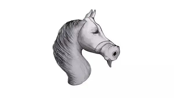 Optical Illusion Answer