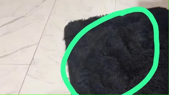 Optical Illusion Answer