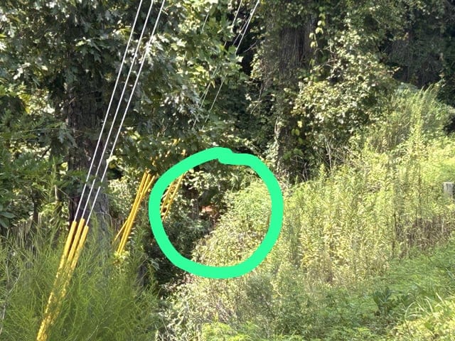 Optical Illusion Answer