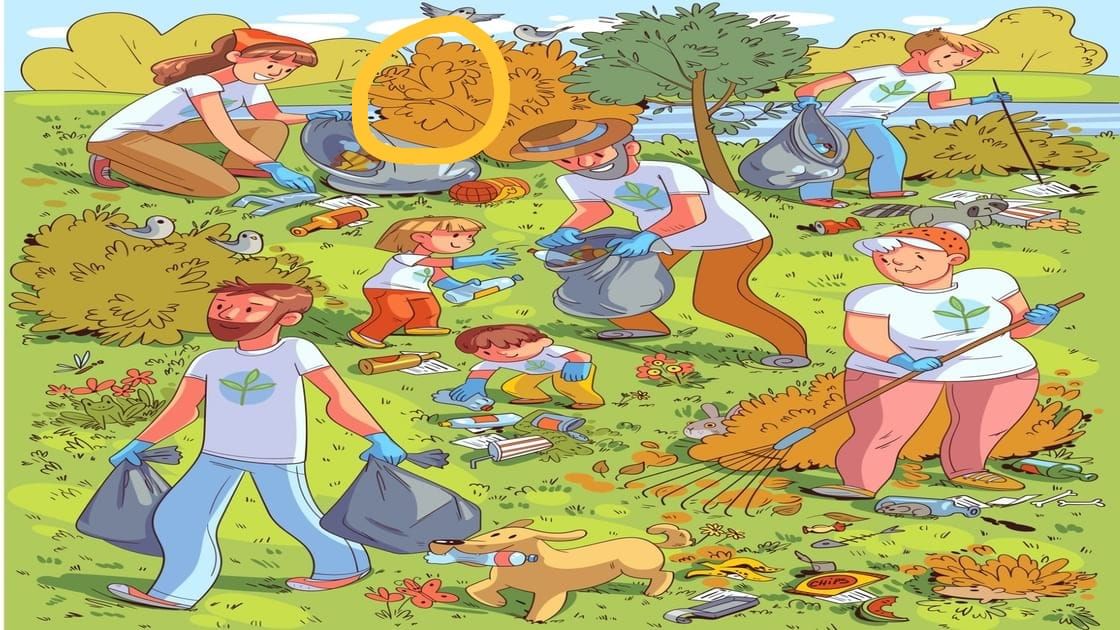 Optical Illusion Answer