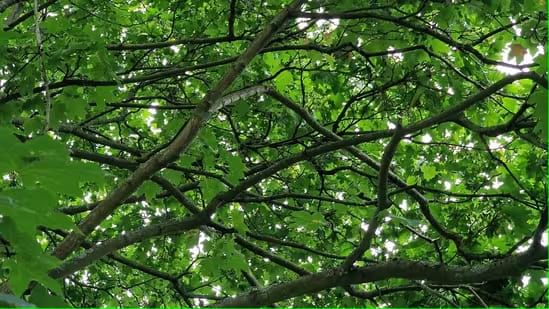 Optical Illusion Photo