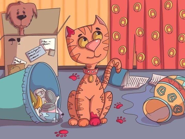 Optical Illusion Photo