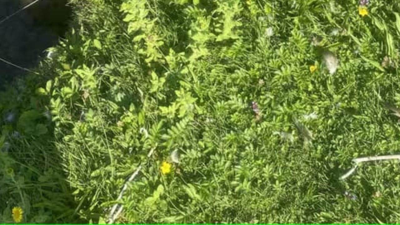 Optical Illusion Photo