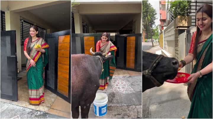 ಗೋವುಗಳ ಬಗ್ಗೆ ಪವಿತ್ರಾ ಗೌಡಗೆ ಅದೆಷ್ಟು ಪ್ರೀತಿ; ಇಲ್ಲಿದೆ ವೈರಲ್ ವಿಡಿಯೋ ಗೋವುಗಳ ಬಗ್ಗೆ ಪವಿತ್ರಾ ಗೌಡಗೆ ಅದೆಷ್ಟು ಪ್ರೀತಿ; ಇಲ್ಲಿದೆ ವೈರಲ್ ವಿಡಿಯೋ