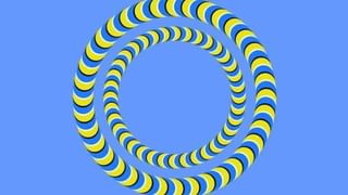 ಪ್ರತಿದಿನ ಬೆಳಗ್ಗೆ ಈ ಪಾನಿಯಗಳನ್ನು ಕುಡಿದರೆ, ಬಲು ಸುಲಭವಾಗಿ ತೂಕ ಇಳಿಸಬಹುದಂತೆ