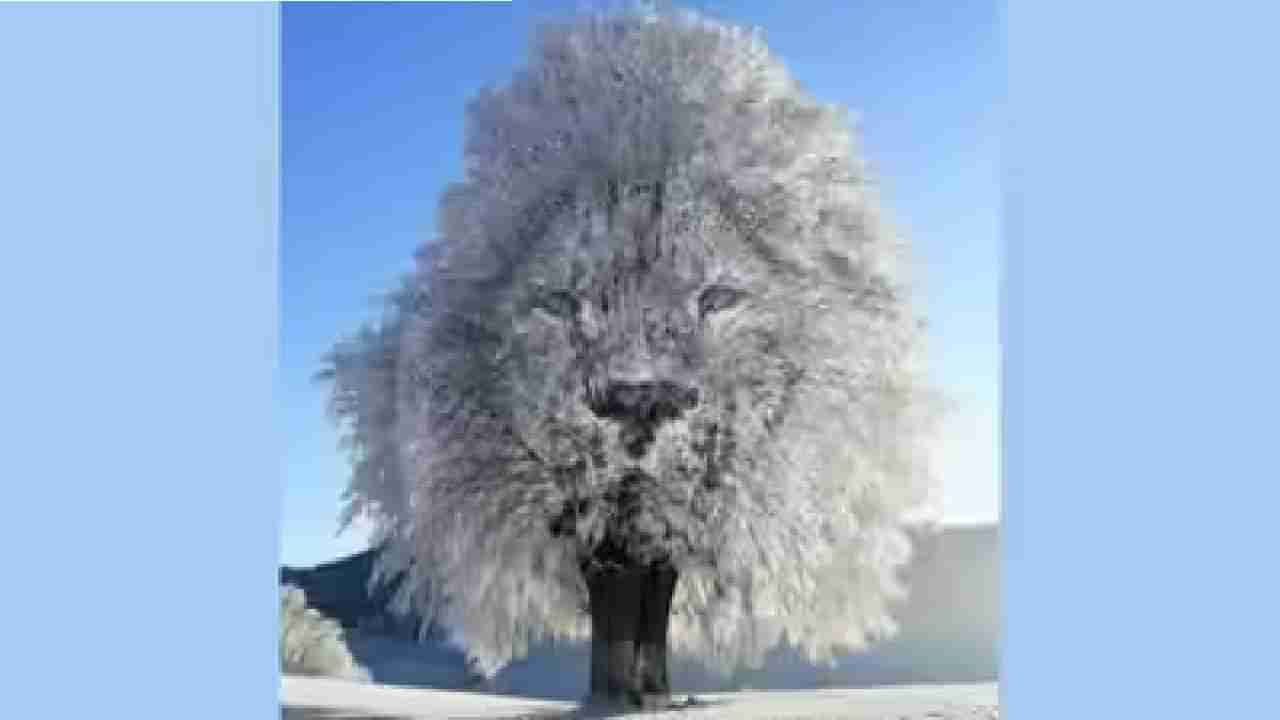 Personality Test: ಮರ, ಸಿಂಹ; ಈ ಚಿತ್ರವೇ ಹೇಳುತ್ತೆ ನೀವು ನಿಮ್ಮ ಪ್ರೇಮ ಸಂಬಂಧ, ವ್ಯಕ್ತಿತ್ವ ಹೇಗಿದೆಯೆಂದು