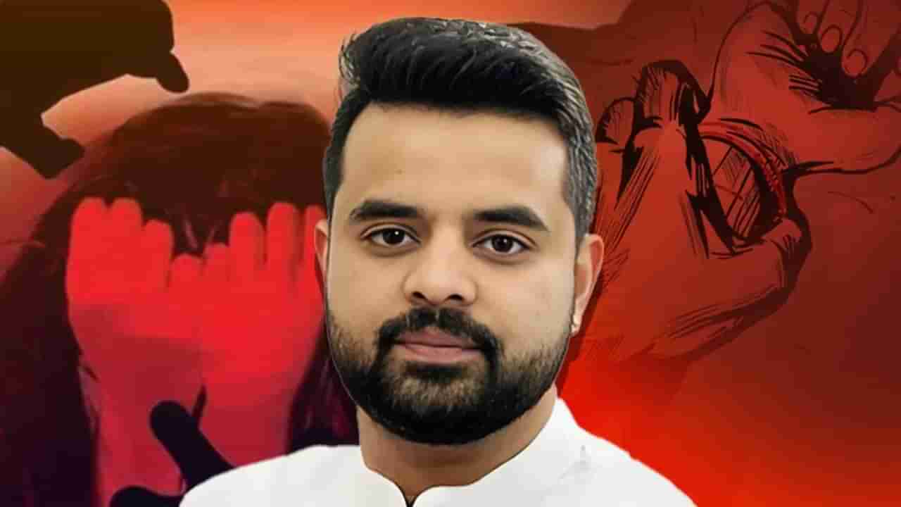 ಪ್ರಜ್ವಲ್ ರೇವಣ್ಣಗೆ ಶಿಕ್ಷೆ ಏನು? ಕೋರ್ಟ್​​ನಲ್ಲಿ ನಡೆಯಿತು ಸ್ವಾರಸ್ಯಕರ ವಾದ-ಪ್ರತಿವಾದ, ವಿವರ ಇಲ್ಲಿದೆ