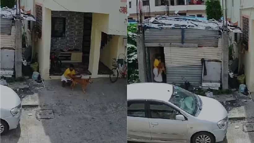 Shocking Video: ಪುಣೆಯಲ್ಲಿ ಕರ್ನಾಟಕದ ವ್ಯಕ್ತಿಯಿಂದ ಬೀದಿ ನಾಯಿ ಮೇಲೆ ಅತ್ಯಾಚಾರ, ಪ್ರಕರಣ ದಾಖಲು