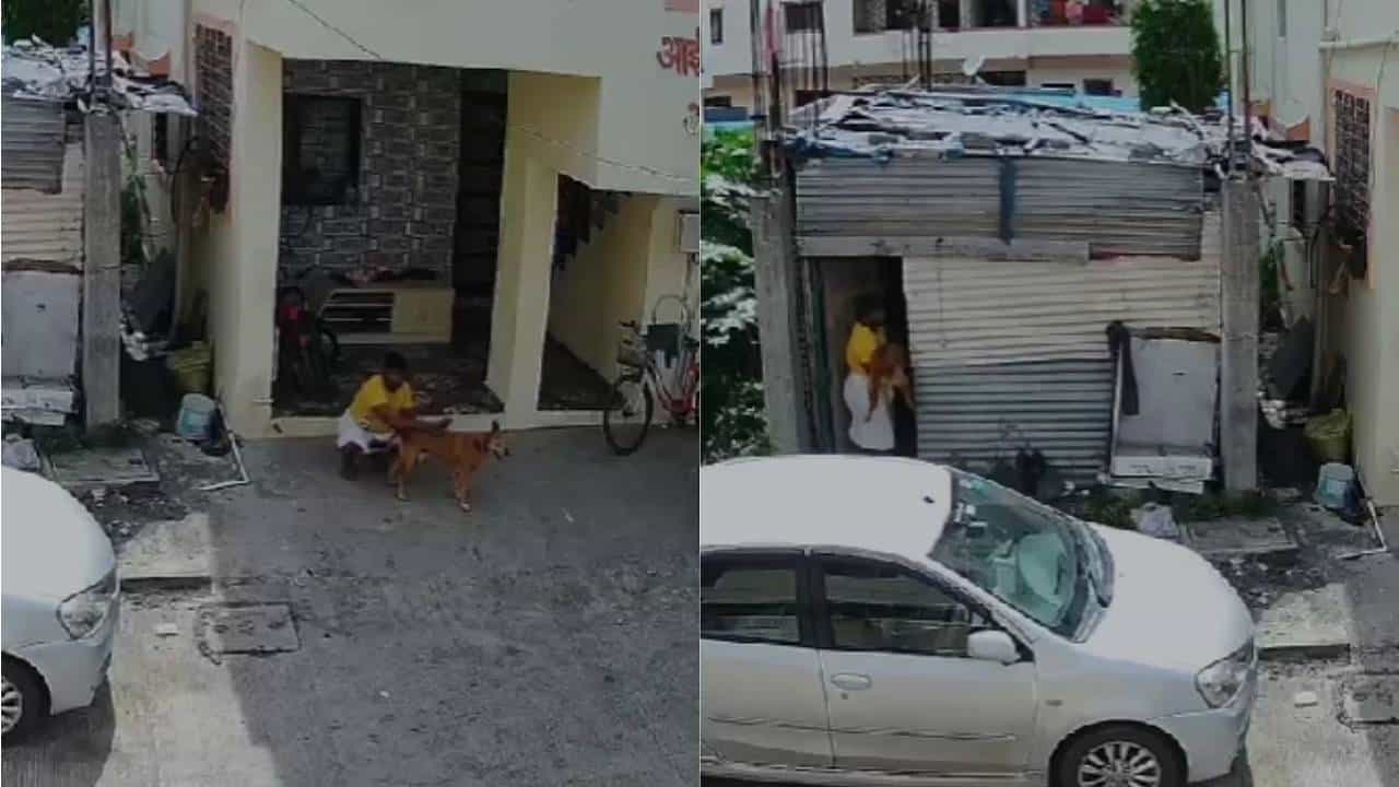 Shocking Video: ಪುಣೆಯಲ್ಲಿ ಕರ್ನಾಟಕದ ವ್ಯಕ್ತಿಯಿಂದ ಬೀದಿ ನಾಯಿ ಮೇಲೆ ಅತ್ಯಾಚಾರ, ಪ್ರಕರಣ ದಾಖಲು Shocking Video: ಪುಣೆಯಲ್ಲಿ ಕರ್ನಾಟಕದ ವ್ಯಕ್ತಿಯಿಂದ ಬೀದಿ ನಾಯಿ ಮೇಲೆ ಅತ್ಯಾಚಾರ, ಪ್ರಕರಣ ದಾಖಲು