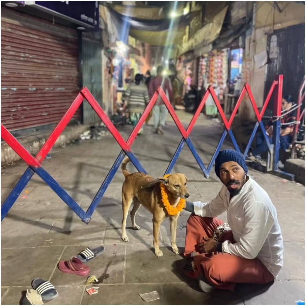 ‘ನಾನು 7 ಬೀದಿ ನಾಯಿಗಳನ್ನು ಸಾಕಿದ್ದೇನೆ. ಸಮಾಜ ಜವಾಬ್ದಾರಿ ತೆಗೆದುಕೊಂಡಾಗ, ಈ ರೀತಿಯ ಕಠಿಣ ಪರಿಹಾರಗಳು ಅಗತ್ಯವಿಲ್ಲ’ ಎಂದಿದ್ದಾರೆ ರಾಜ್. ಈ ಮೂಲಕ ಮೂಕ ಪ್ರಾಣಿಗಳನ್ನು ದತ್ತು ಪಡೆದು ಸಾಕಲು ಕೋರಿದ್ದಾರೆ.