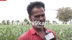 ರಾತ್ರಿ ಸುರಿದ ಭಾರೀ ಮಳೆಯಿಂದ ನೀರು ಜಮೀನಿಗೆ ನುಗ್ಗಿ ರೈತ ರಾಜಣ್ಣ ಕಂಗಾಲು