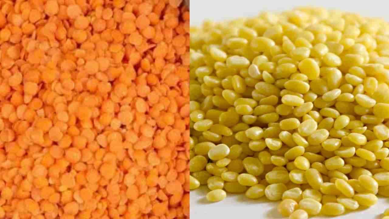 ಮೂಂಗ್ ದಾಲ್ Vs ಮಸೂರ್ ದಾಲ್ ಯಾವುದು ಆರೋಗ್ಯಕ್ಕೆ ಒಳ್ಳೆಯದು ತಿಳಿದುಕೊಳ್ಳಿ
