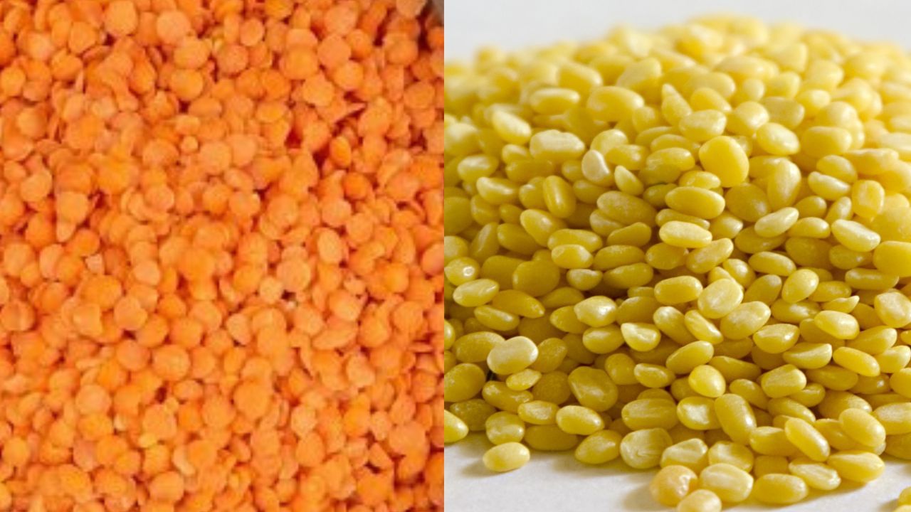ಮೂಂಗ್ ದಾಲ್ Vs ಮಸೂರ್ ದಾಲ್ ಯಾವುದು ಆರೋಗ್ಯಕ್ಕೆ ಒಳ್ಳೆಯದು ತಿಳಿದುಕೊಳ್ಳಿ