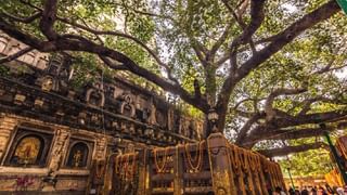 Shani Sade Sati: ಶನಿ ಸಾಡೇ ಸಾತಿ ಎಂದರೇನು ಮತ್ತು ಅದರ ಪರಿಣಾಮಗಳು ಏನು?