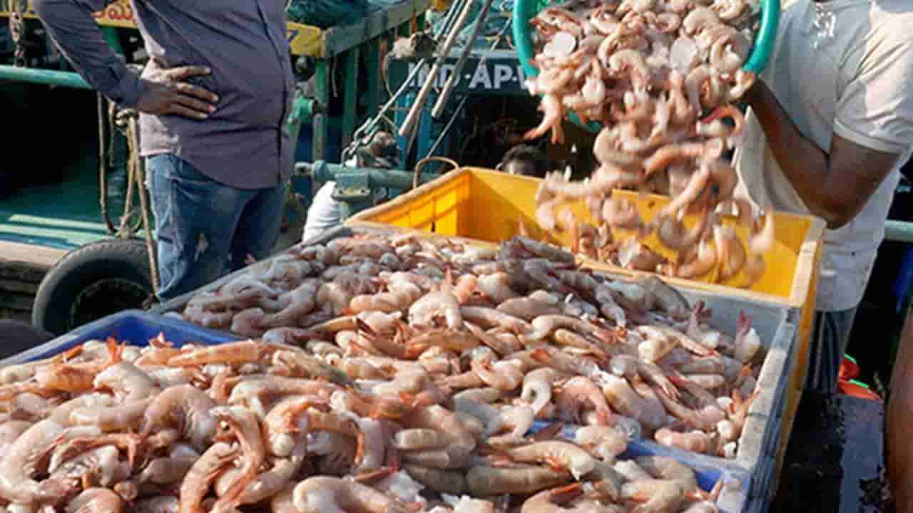 ಅಮೆರಿಕವೇ ಗತಿ ಅಲ್ಲ... ಮೀನು ರಫ್ತಿಗೆ ಜಪಾನ್, ಚೀನಾ, ಬ್ರಿಟನ್ ಮಾರುಕಟ್ಟೆಗಳತ್ತ ಭಾರತ